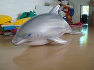 ของเล่นสระว่ายน้ำรูปปลาโลมายาว 1.5 เมตรในโชว์รูม exporters